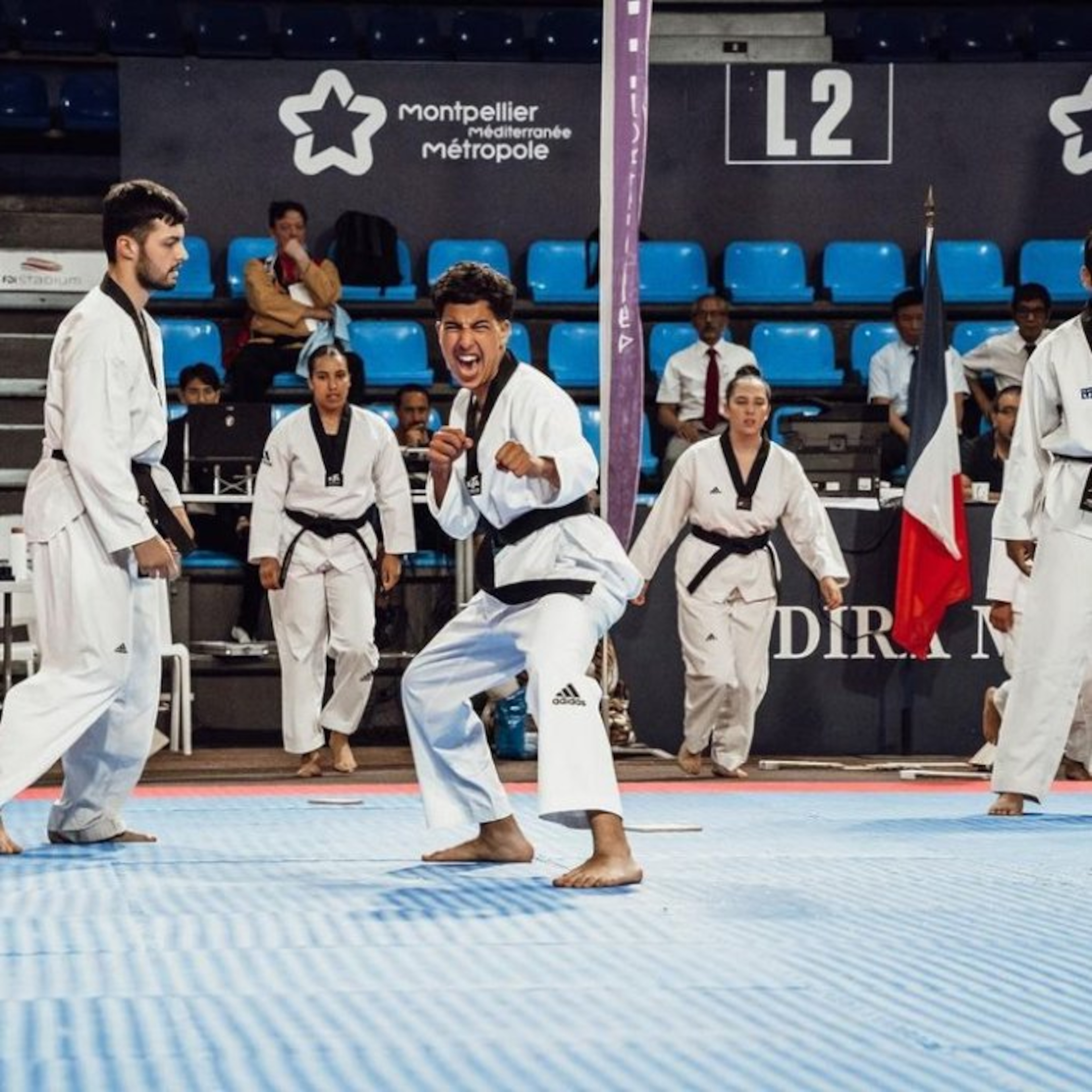 Taekwondo par ENVOL