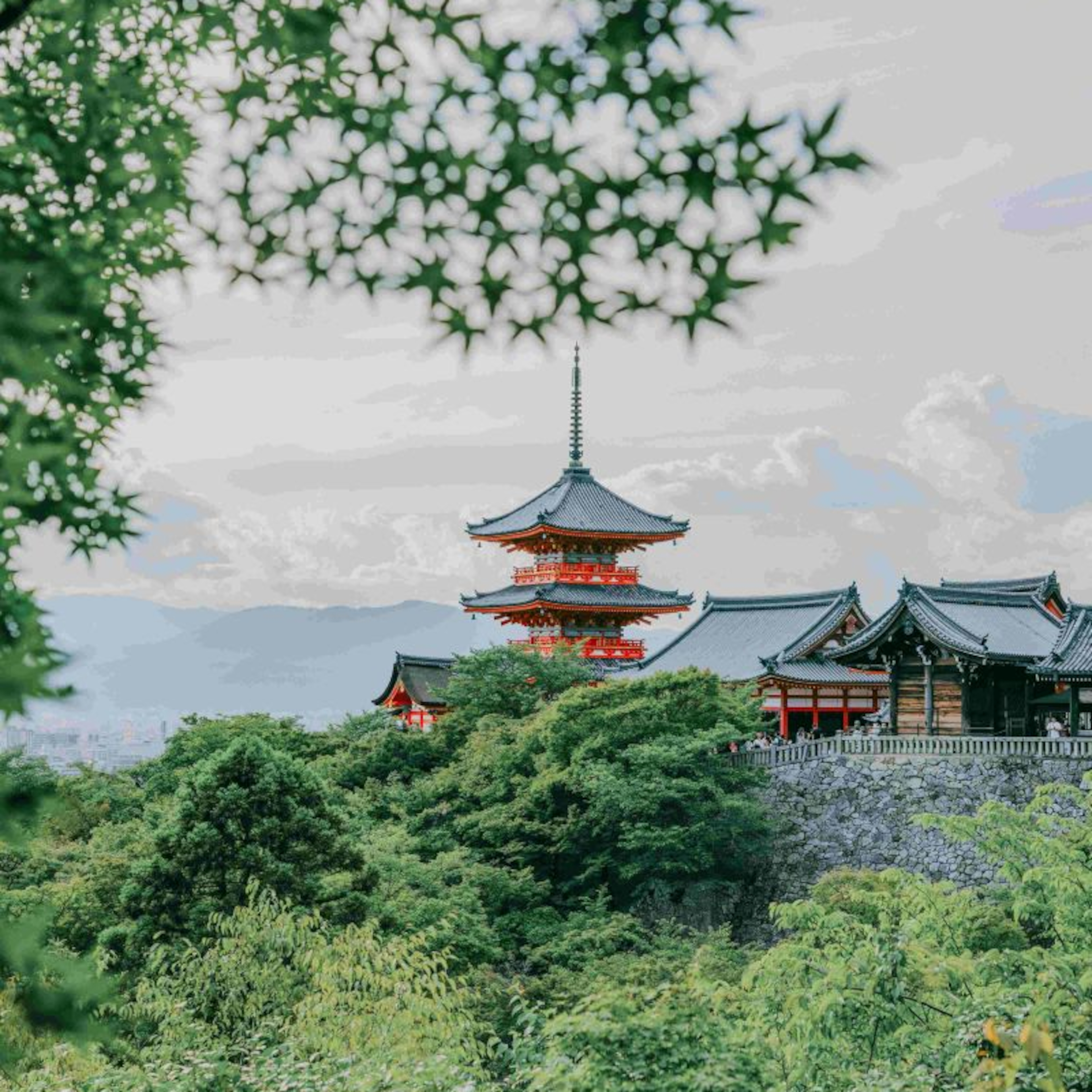 Voyage au Japon : entre temples, néons et pop culture