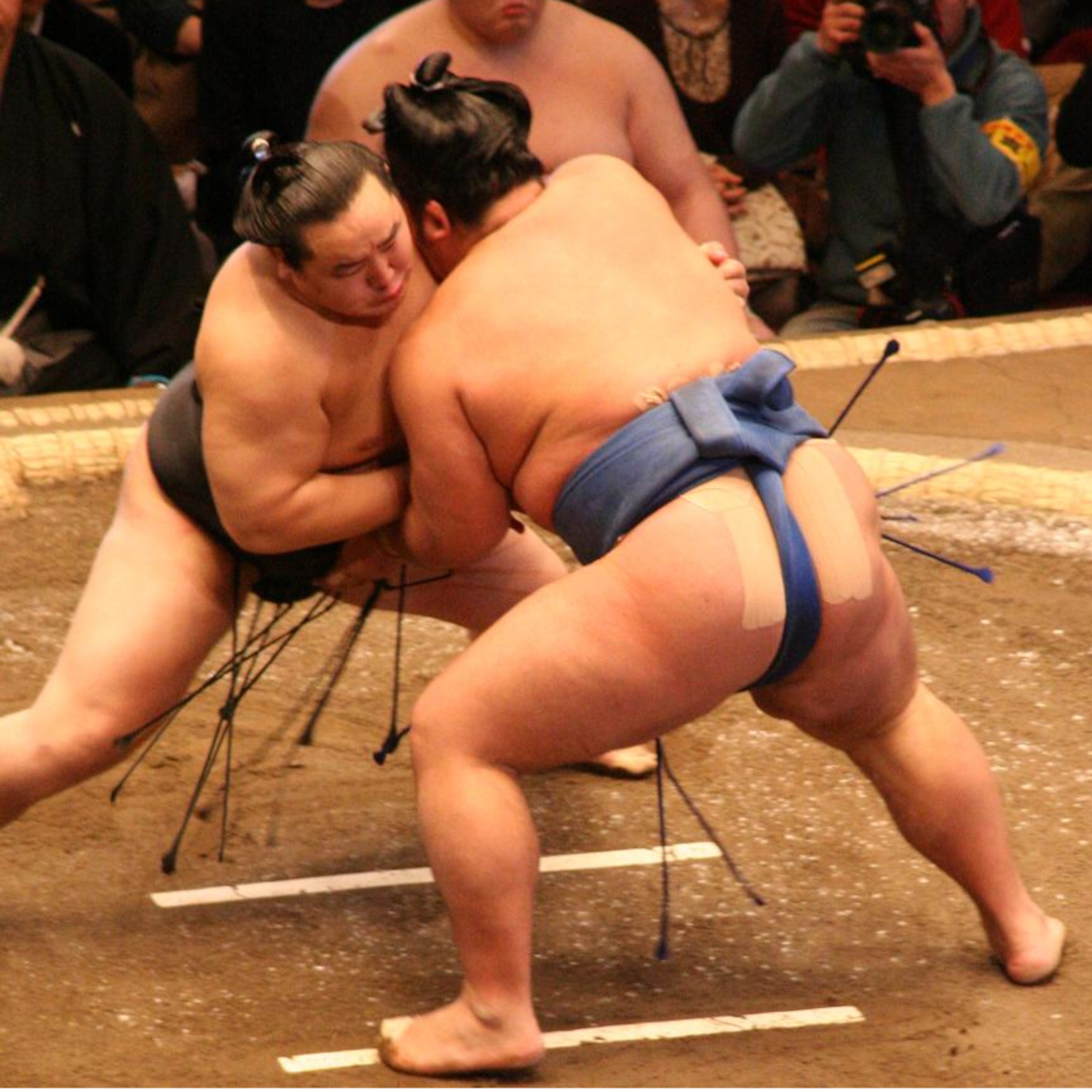 Sumo