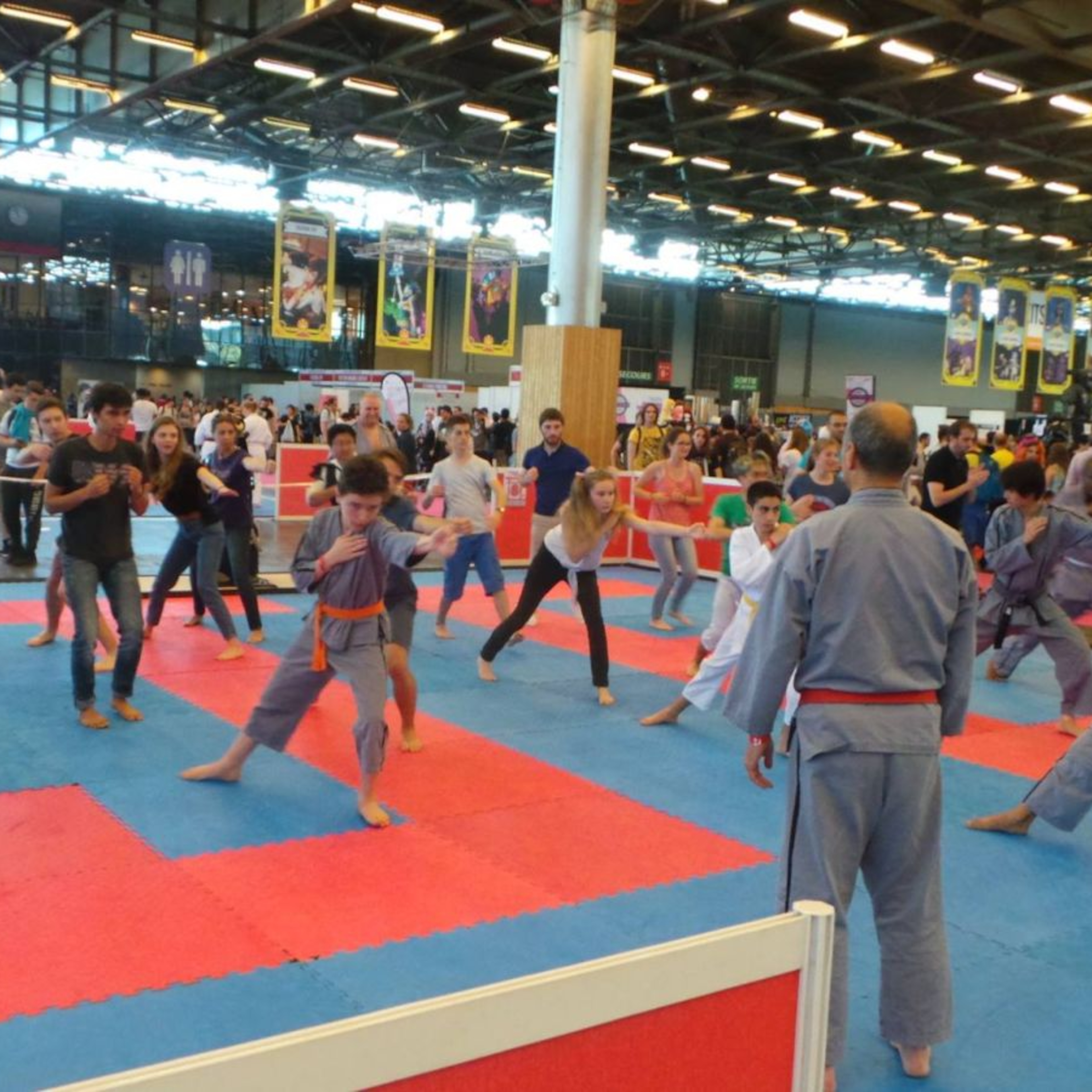 Ninjutsu