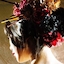 guest icon
