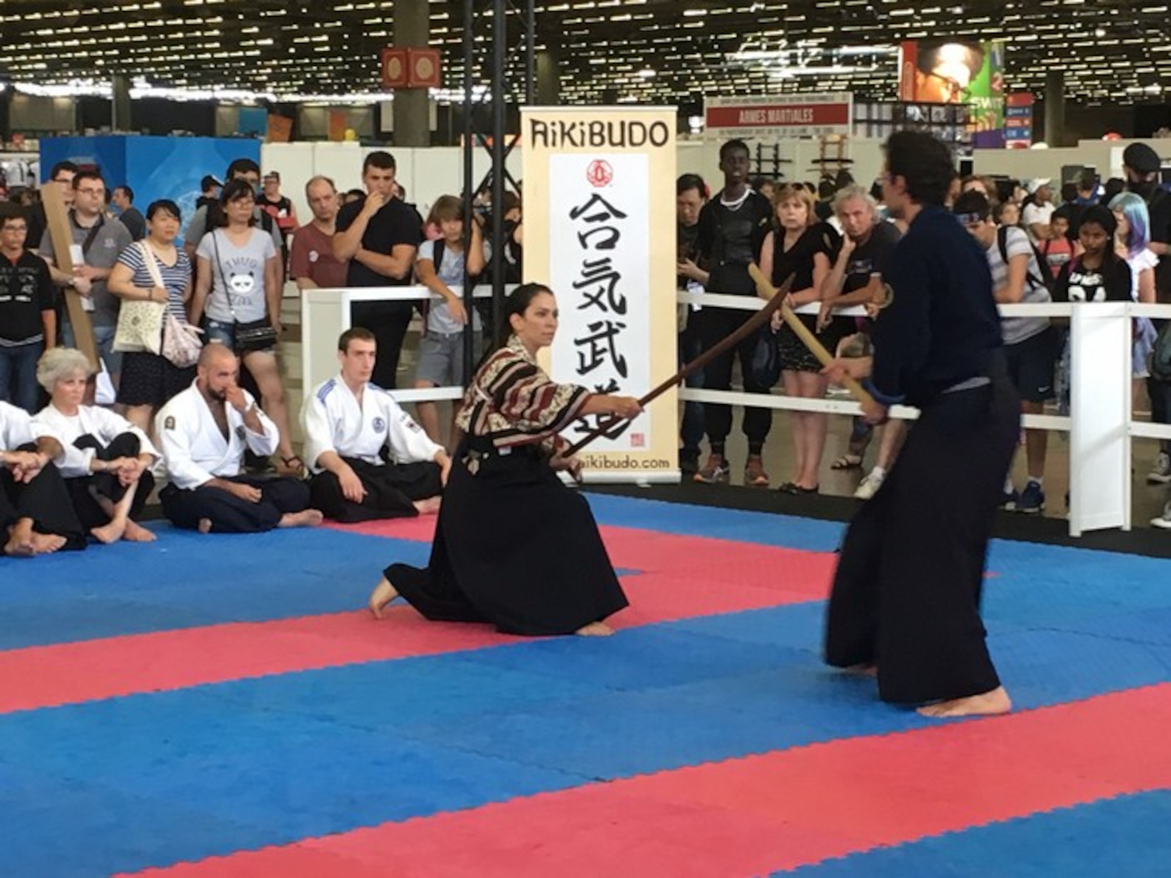 Aikibudo & Katori Shinto Ryu IDF