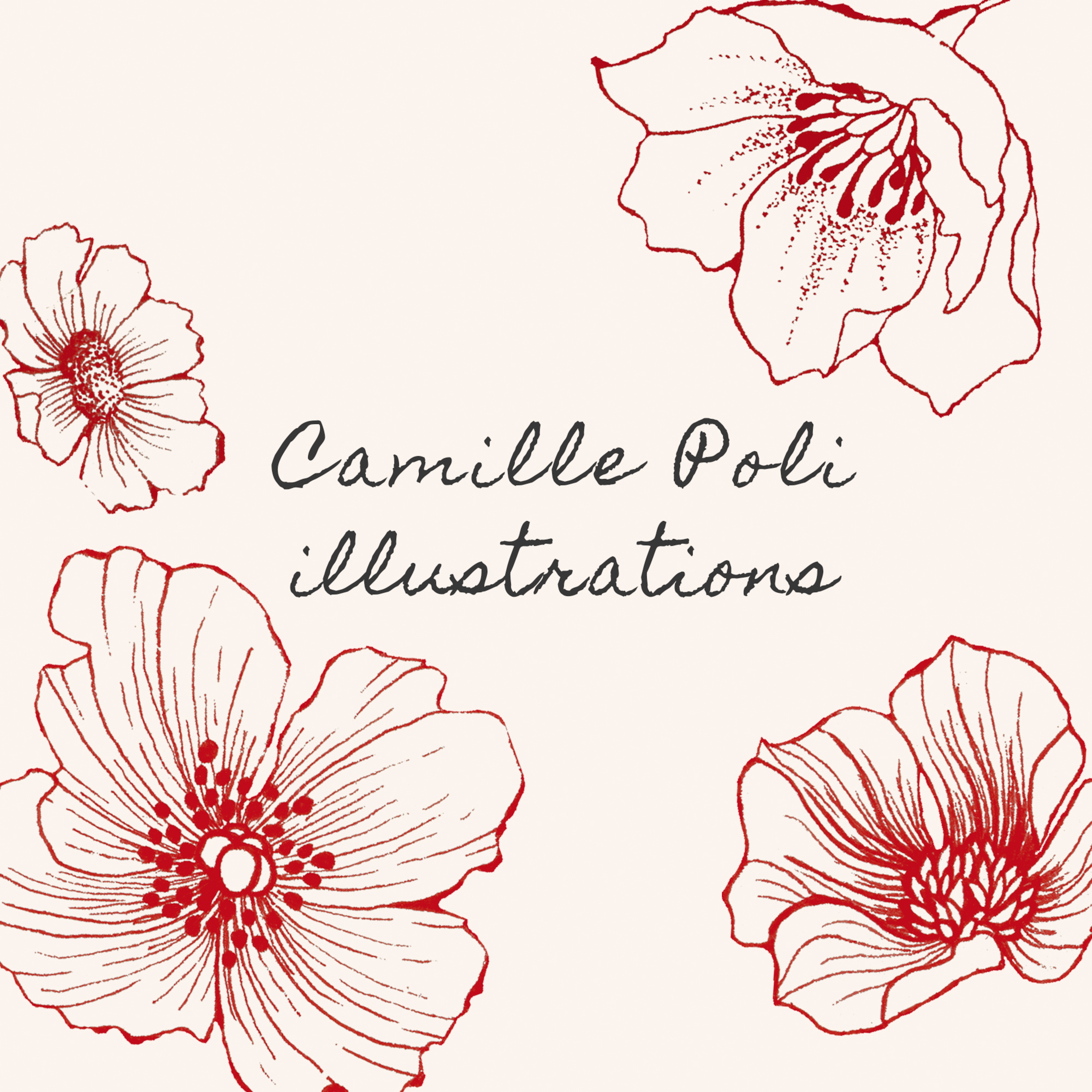 CAMILLE POLI ILLUSTRATIONS