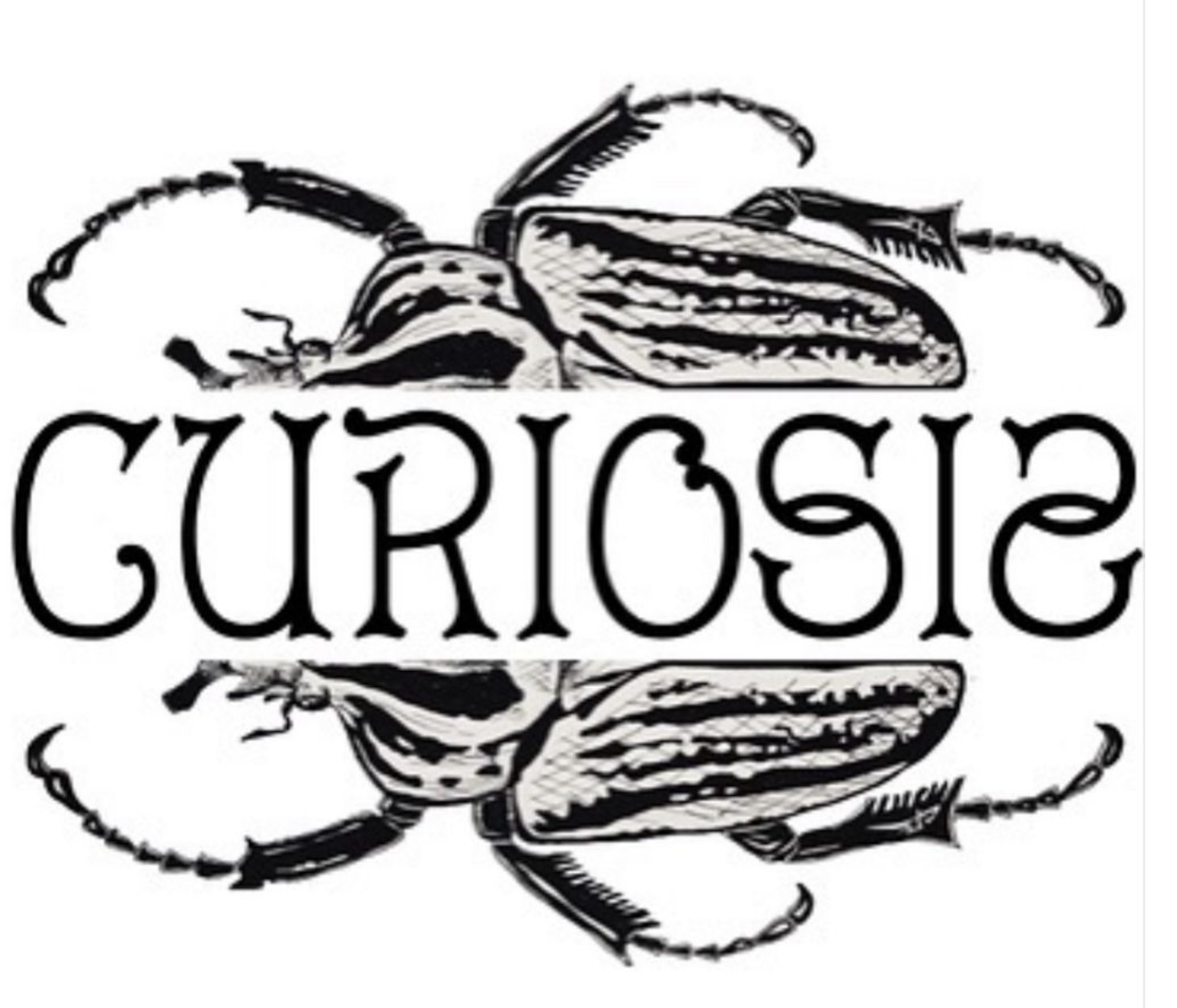 CURIOSIS