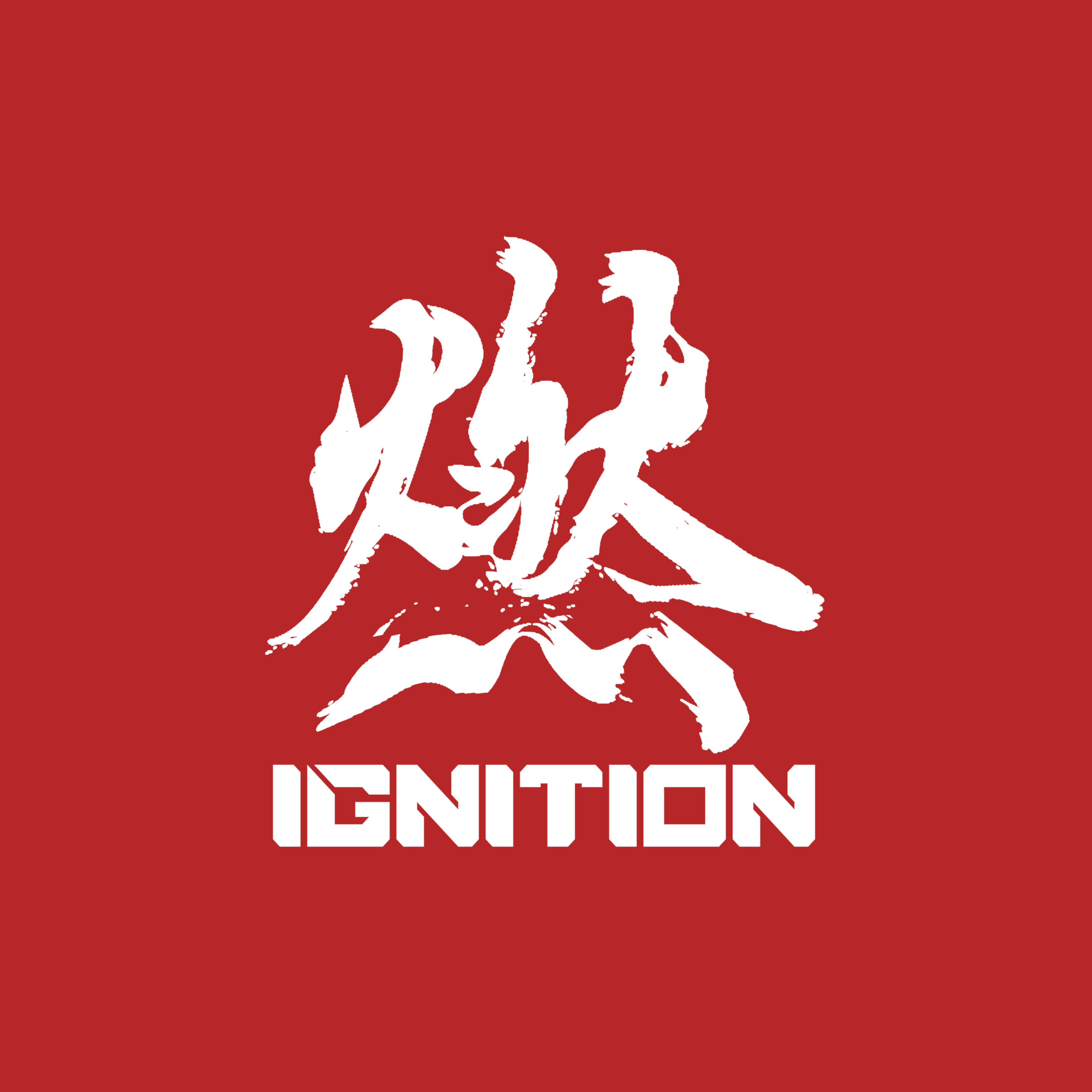 IGNITION INDUSTRIES