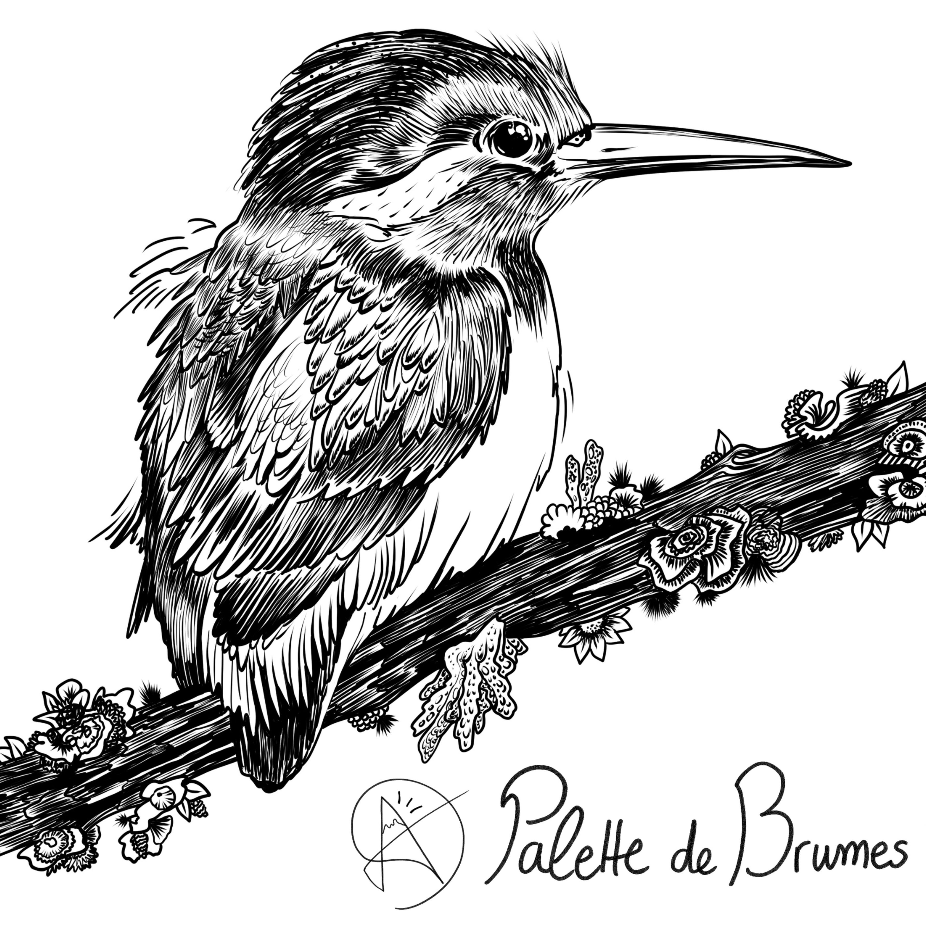 PALETTE DE BRUMES
