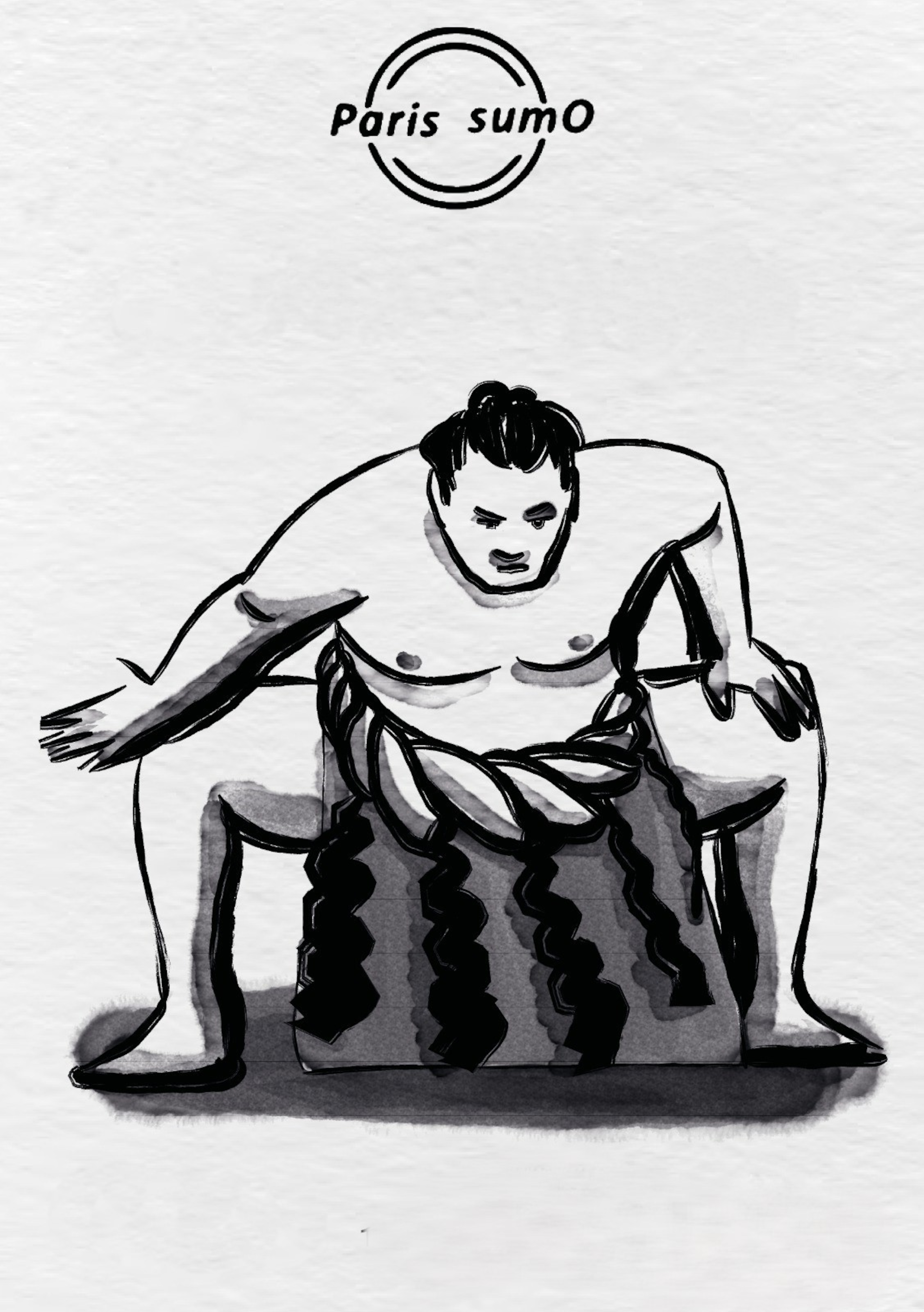 PARIS SUMO